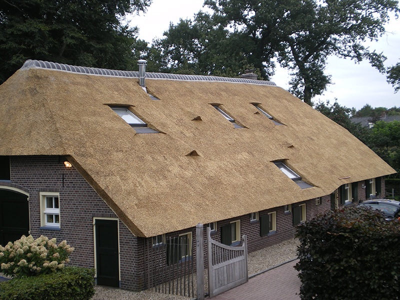 Dakramen: van pannen naar riet