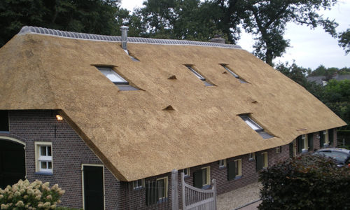 Subsidie voor het rieten dak