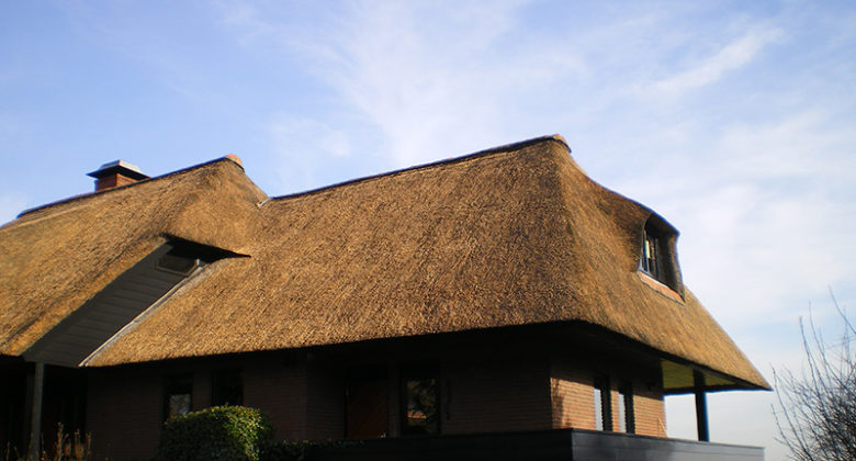 Restauratie en reparatie rieten daken