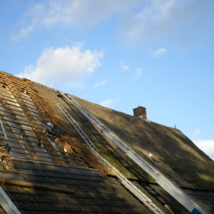 Rieten dak onderhoud Nijverdal