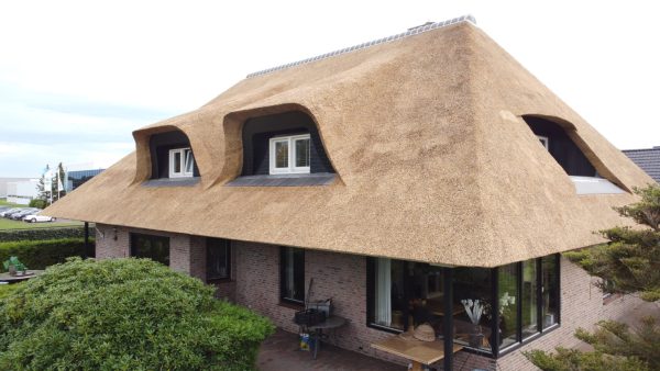 Rieten Dak Vervangen