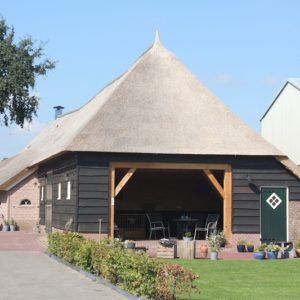 rietendak-op-boerderij-in-Staphorst